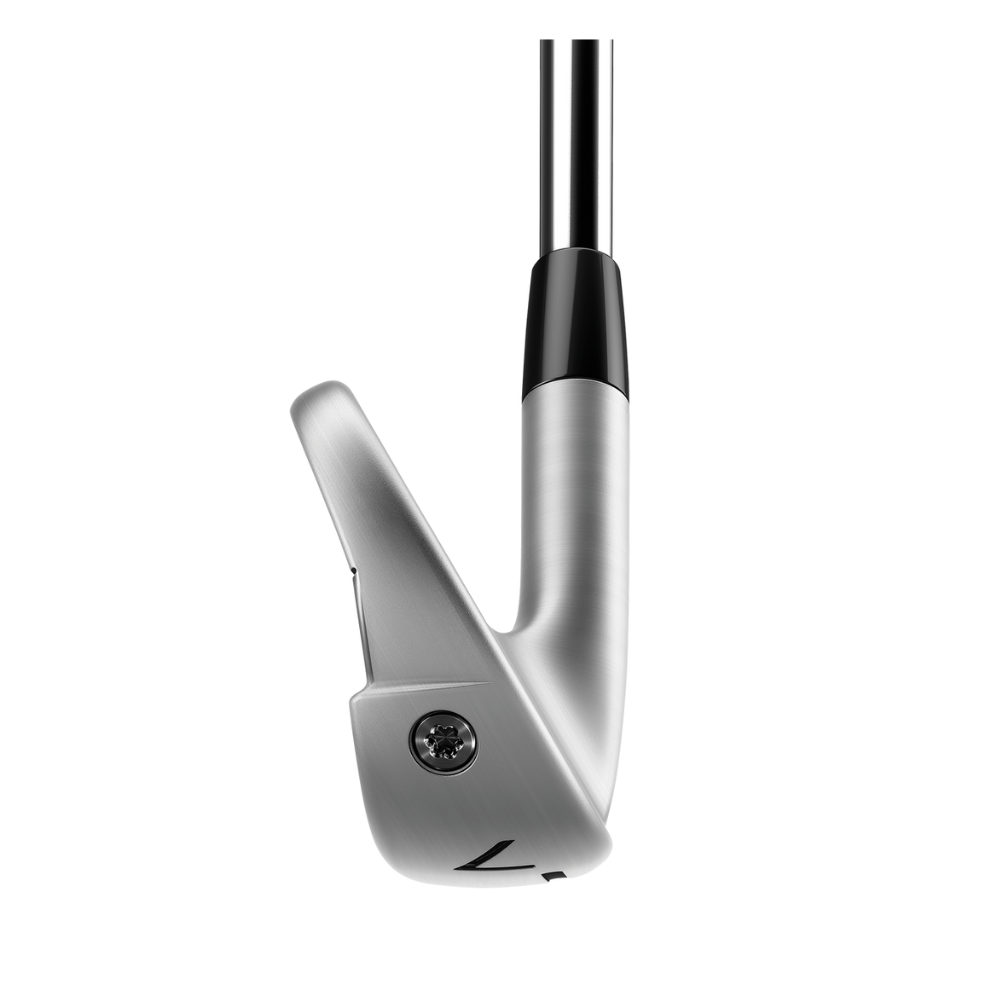 TaylorMade 2025 P790 Custom Irons